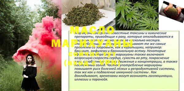 гашик Шали