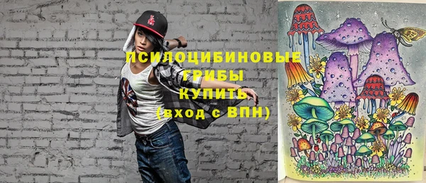 синтетический гашиш Елабуга