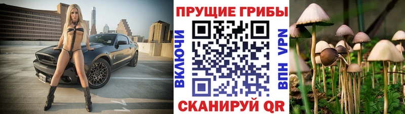 как найти   Пущино  ссылка на мегу онион  Псилоцибиновые грибы прущие грибы 